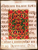Darrow carpet